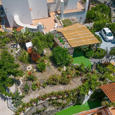 La Rosa - Luxury B&B Ischia Dış mekan fotoğraf