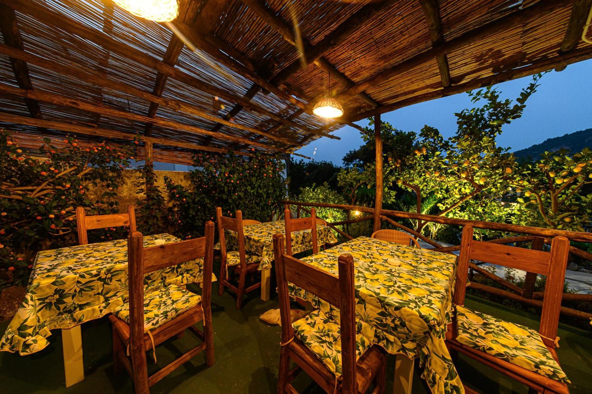 La Rosa - Luxury B&B Ischia Dış mekan fotoğraf